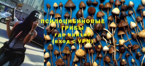 метадон Ельня