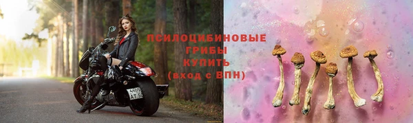 метадон Ельня