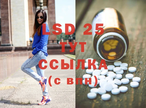 ПСИЛОЦИБИНОВЫЕ ГРИБЫ Щучье