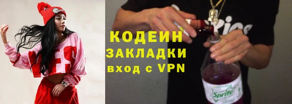 СК Елизово