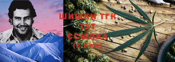 метадон Ельня