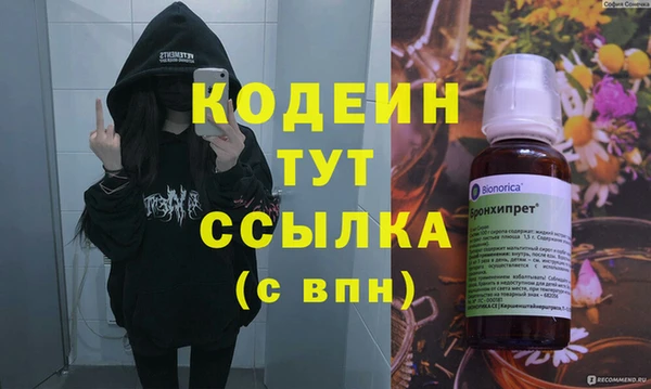 СК Елизово
