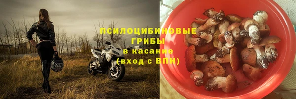 метадон Ельня